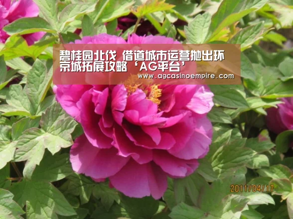 碧桂园北伐 借道城市运营抛出环京城拓展攻略‘AG平台’(图1) AG竞猜