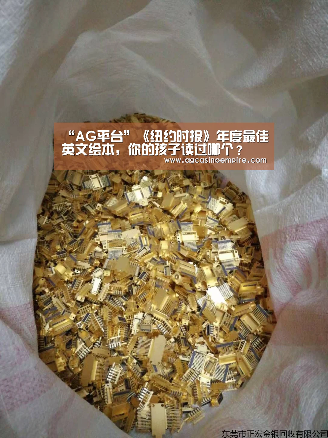 “AG平台”《纽约时报》年度最佳英文绘本,你的孩子读过哪个?(图4) AG电子