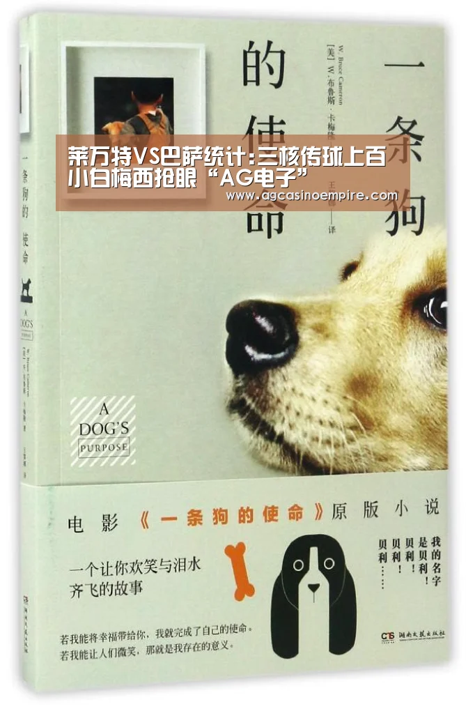 AG下载