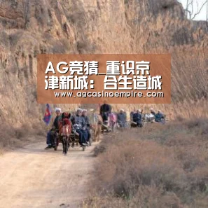 AG竞猜_重识京津新城:合生造城大境已成(图3) AG电子