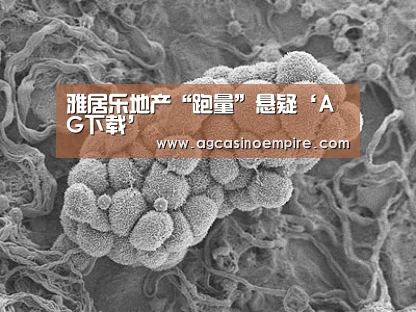 雅居乐地产“跑量”悬疑‘AG下载’(图2) AG竞猜