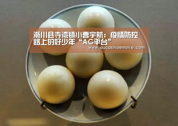 淅川县寺湾镇小曹宇航:疫情防控路上的好少年“AG平台”(图1) AG电子
