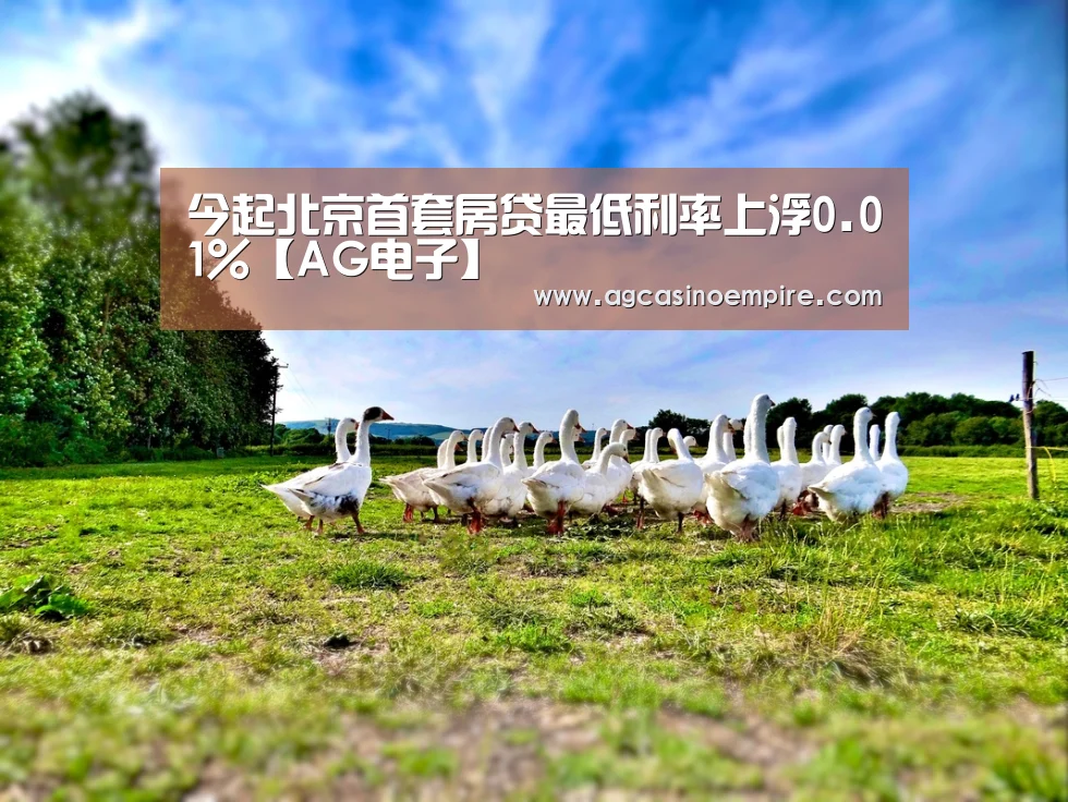 今起北京首套房贷最低利率上浮0.01%【AG电子】(图3) AG下载