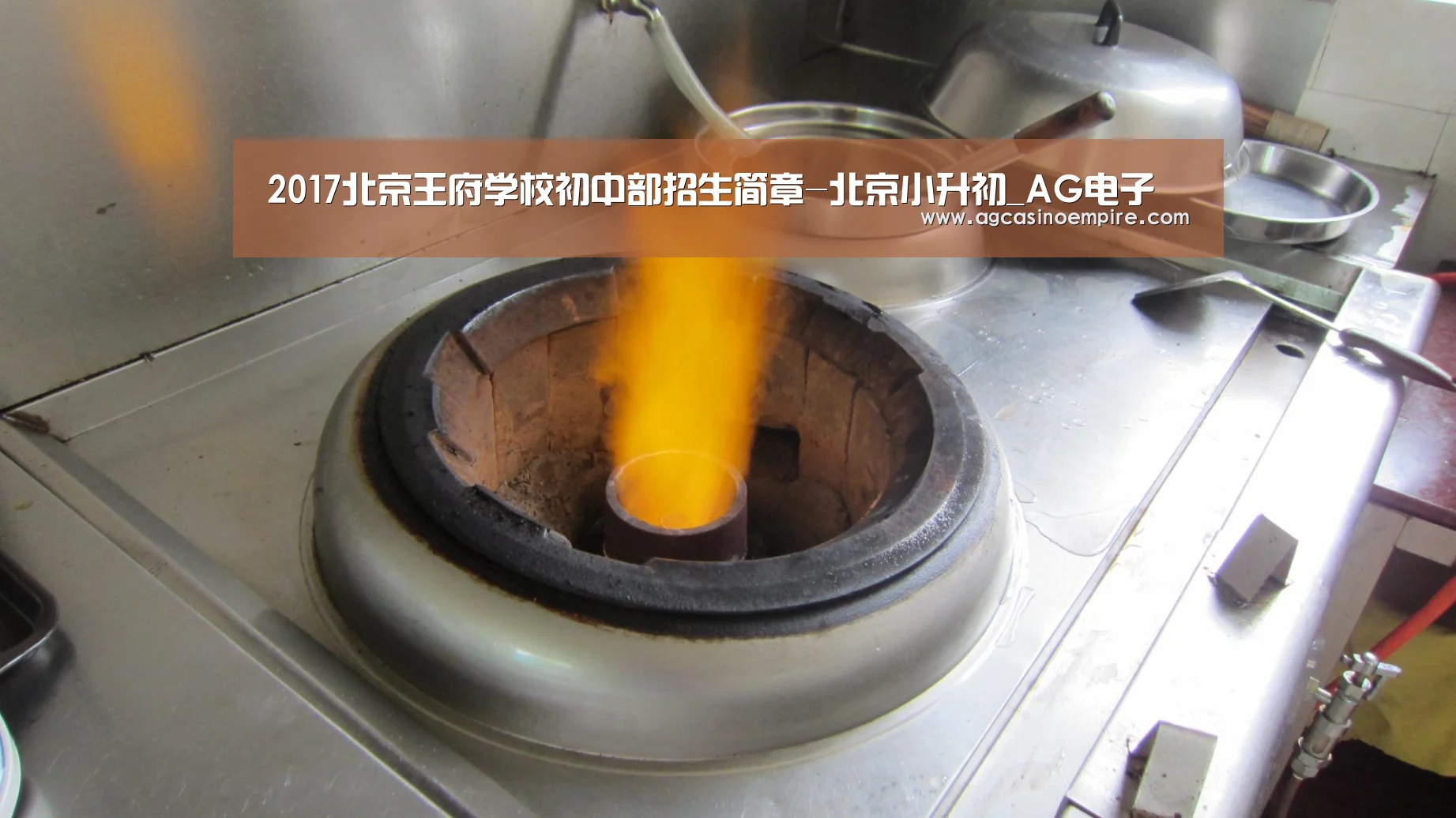 2017北京王府学校初中部招生简章-北京小升初_AG电子(图3) AG下载
