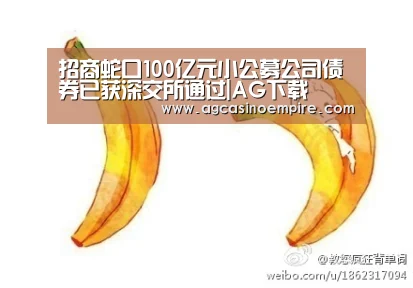 招商蛇口100亿元小公募公司债券已获深交所通过|AG下载(图2) AG电子