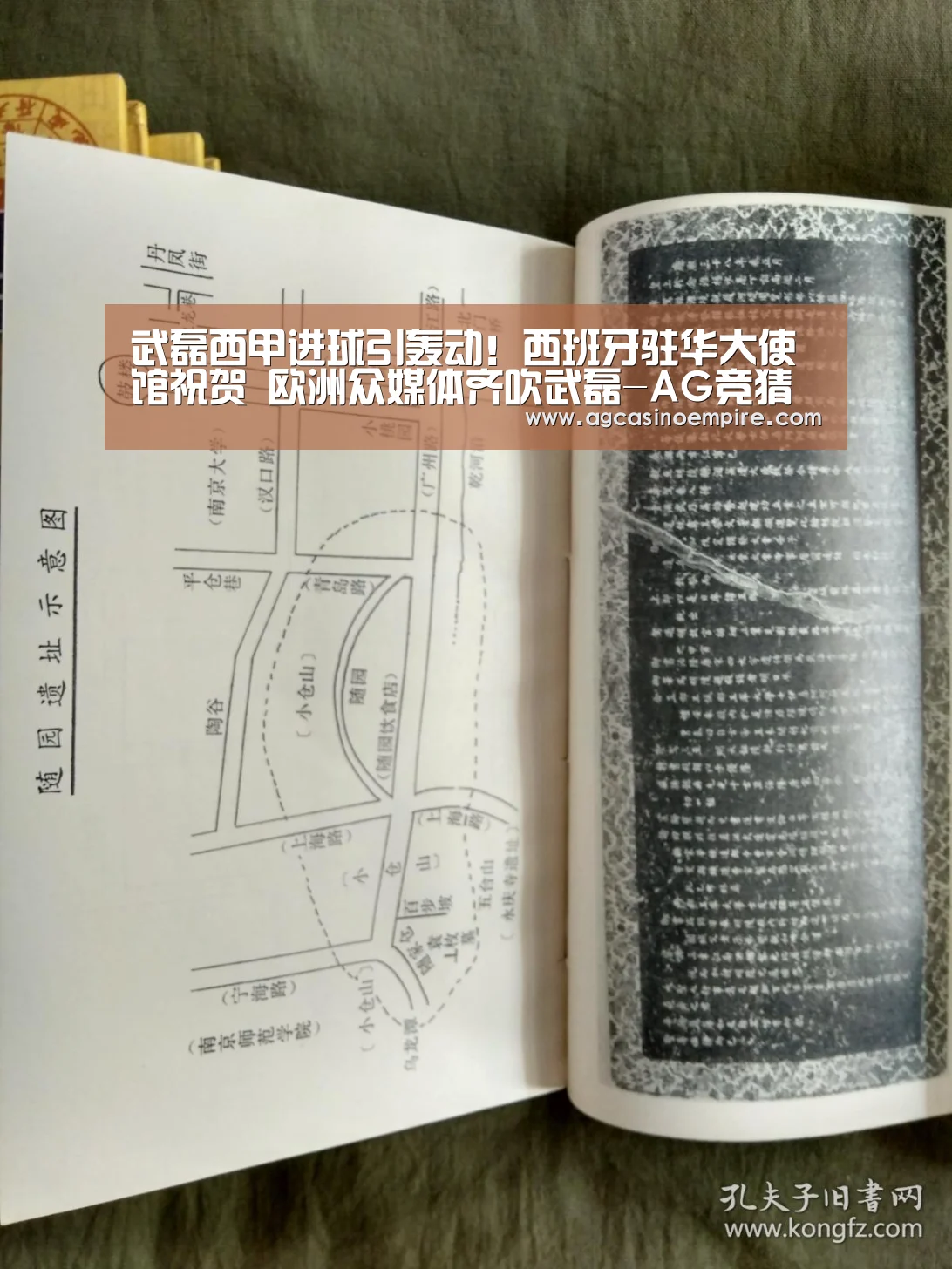 武磊西甲进球引轰动!西班牙驻华大使馆祝贺 欧洲众媒体齐吹武磊-AG竞猜(图2) AG竞猜