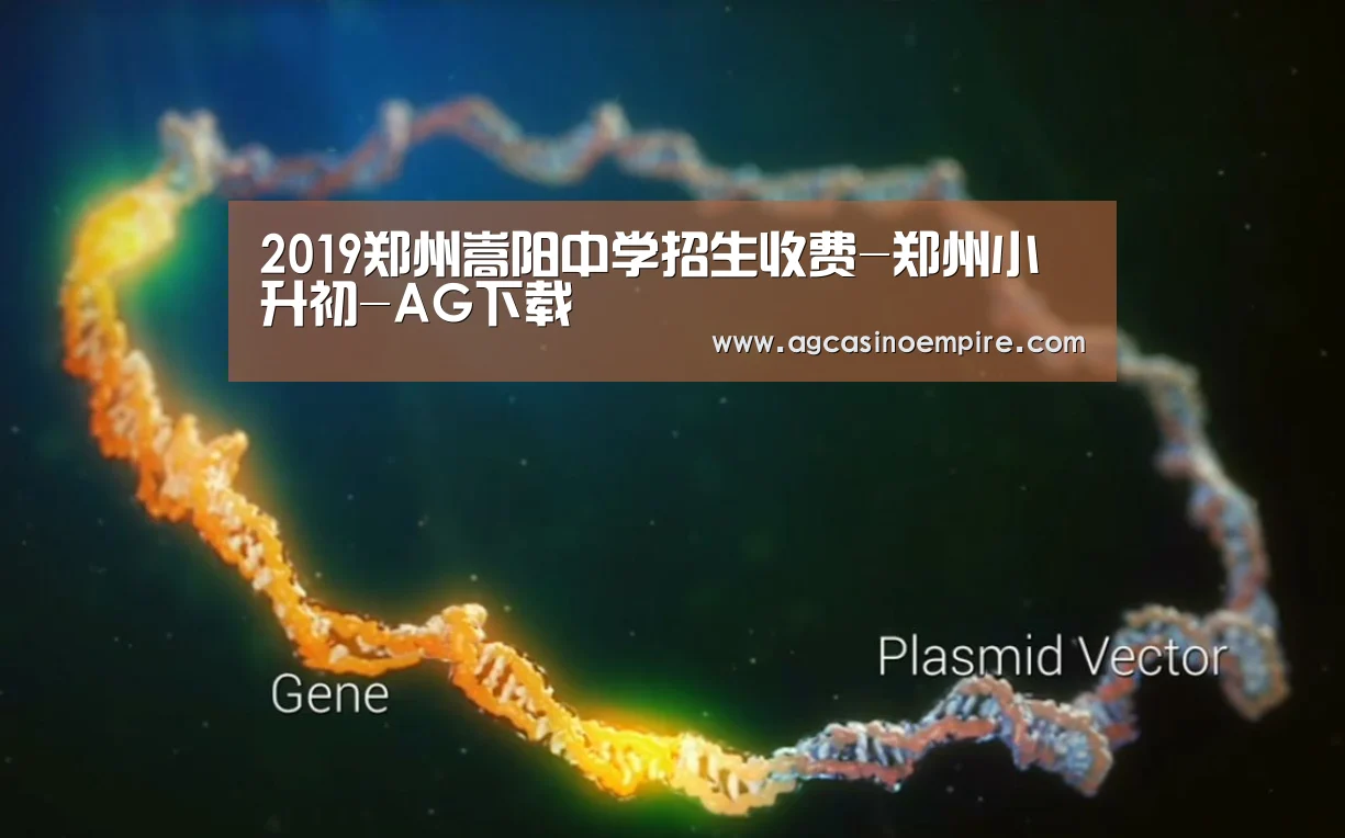 2019郑州嵩阳中学招生收费-郑州小升初-AG下载(图1) AG平台