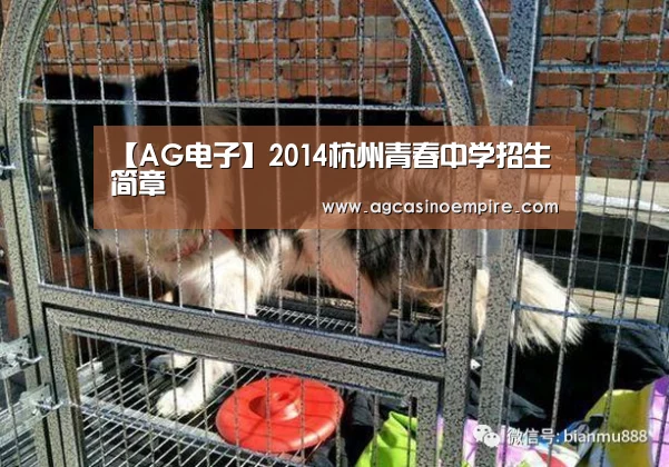 【AG电子】2014杭州青春中学招生简章(图1) AG下载